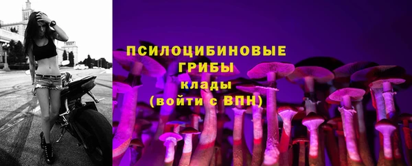 шишки Абаза
