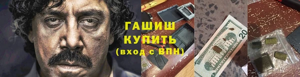 шишки Абаза