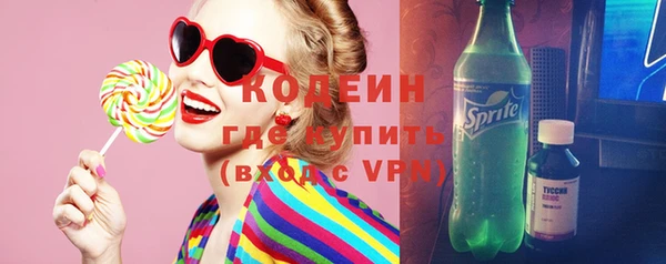 шишки Абаза