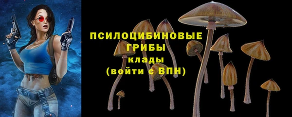 винт Сафоново