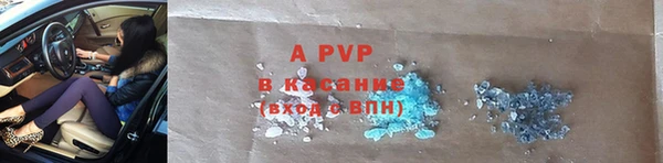 шишки Абаза