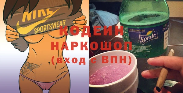 шишки Абаза