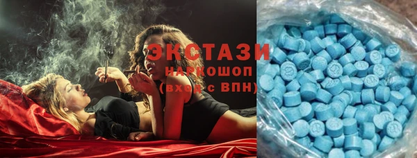 шишки Абаза