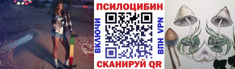 Псилоцибиновые грибы Psilocybe  дарк нет как зайти  Гаджиево 